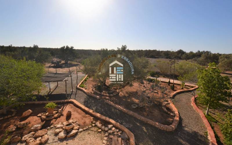 Camping-Caravaning (37)